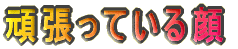 }C[iS~SOO[j@Aʐ^